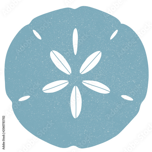 Canvas-taulu Blue sea biscuit sand dollar shell with textured surface echinoderm textured
