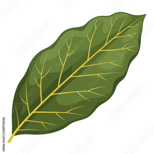 Obraz na plátne Undulating Green Avocado Tree Leaf Flat Vector Illustration