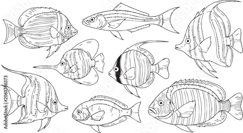 Assorted Marine Life Sketch in Monochrome White Background for Aquatic Concept