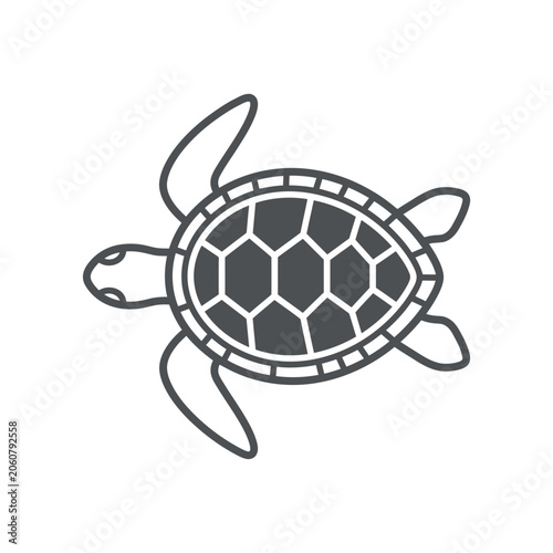 Green sea turtle top view flat icon design.