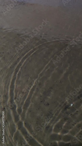 Water droplets hitting the surface of the water create ripples.
