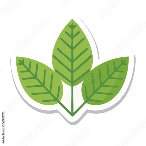 Three Green Leaves Icon on Transparent Background