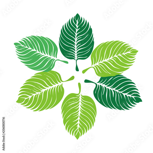 Symmetrical Green Leaf Illustration on White Background