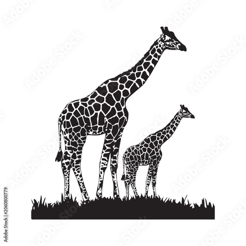 Giraffe Mother and Calf Silhouette in Grass