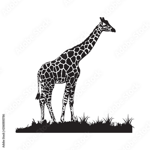 Giraffe Silhouette on Grass Field Black and White Vector Illustration