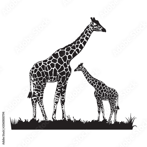 Giraffe Mother and Calf Silhouette in Grass