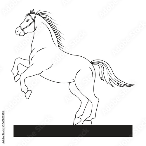 Rearing Horse Line Art Illustration, Elegant Equine Outline with Bridle
