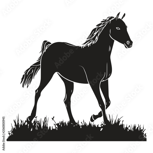 Majestic Horse Silhouette Walking Through Grass