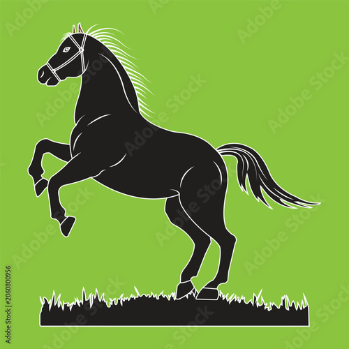Powerful Rearing Horse Silhouette on Grass