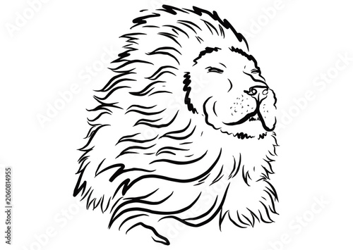 Line art of a lion's face with a calm expression while closing his eyes