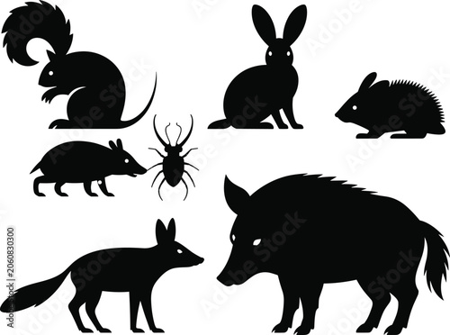 Photography Wild animals and forest wildlife silhouette collection including wild boar fox r