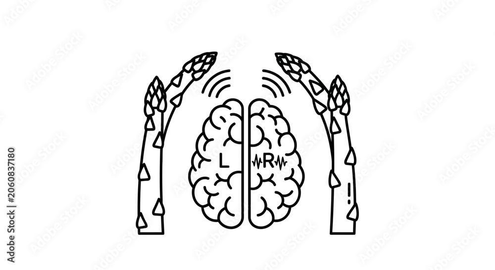 Fototapeta premium Brain with Asparagus and Waves - Healthy Eating, Nutrition, and Brain Health Concept