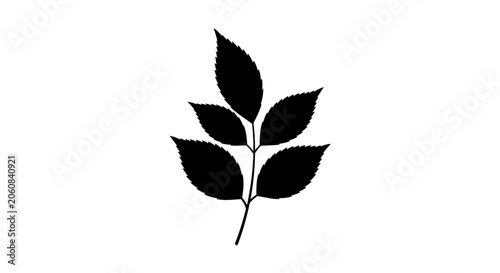 Slika na platnu Leaf Branch Silhouette Vector