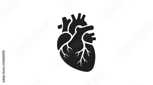 Fotografie Anatomical Human Heart Vector Illustration