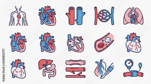 Tableau sur toile Human circulatory system anatomy and medical icons.