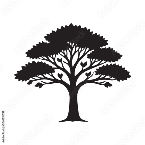 tree silhouette isolated on white background