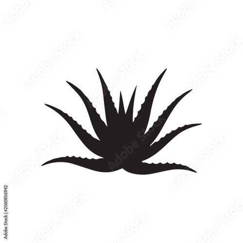 vector illustration of an aloe vera plant