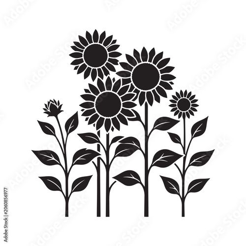 vector illustration of sunflower