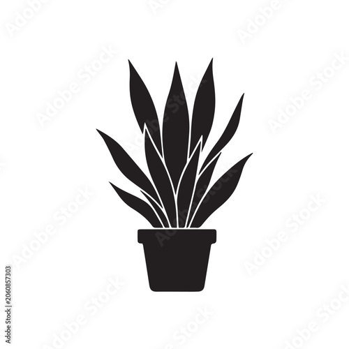 vector illustration of snake plant