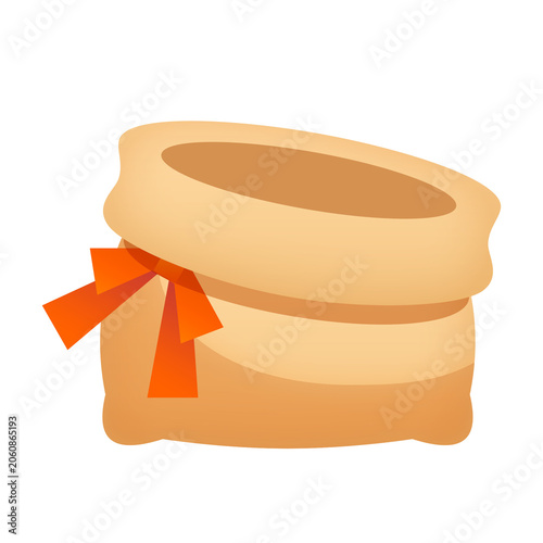 money bag with ribbon
