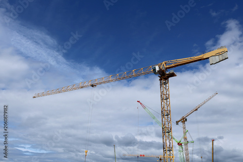 Crane
