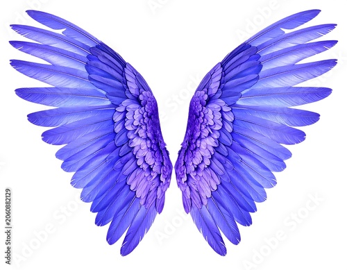 Vibrant purple fantasy wings isolated on white background