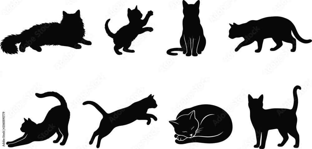 Fototapeta premium Cat Silhouette Collection Featuring Sitting Walking Jumping Stretching Sleeping and Playful Domestic Feline Poses