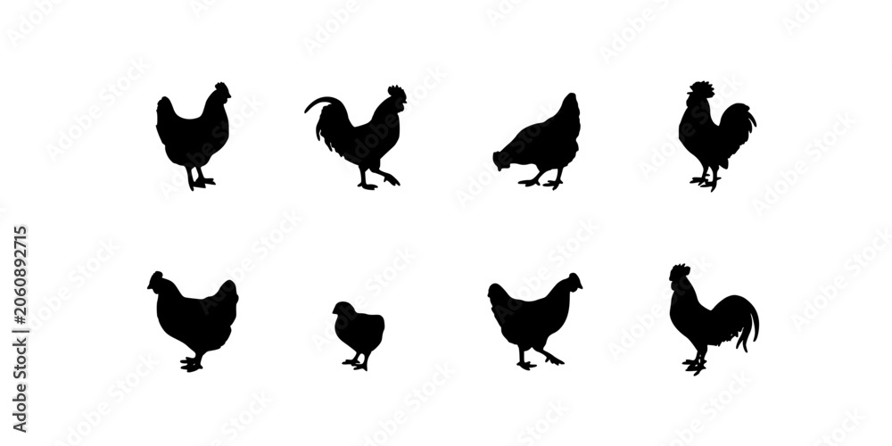 Fototapeta premium Chicken Silhouettes Set of Farm Poultry Icons in Black on a White Background Featuring Hen, Rooster, Silhouette with Icon and Symbol Elements
