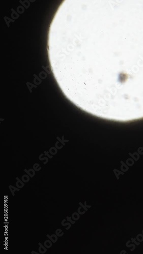 Optical blur bokeh light leaks vertical transition for cinematic video editing