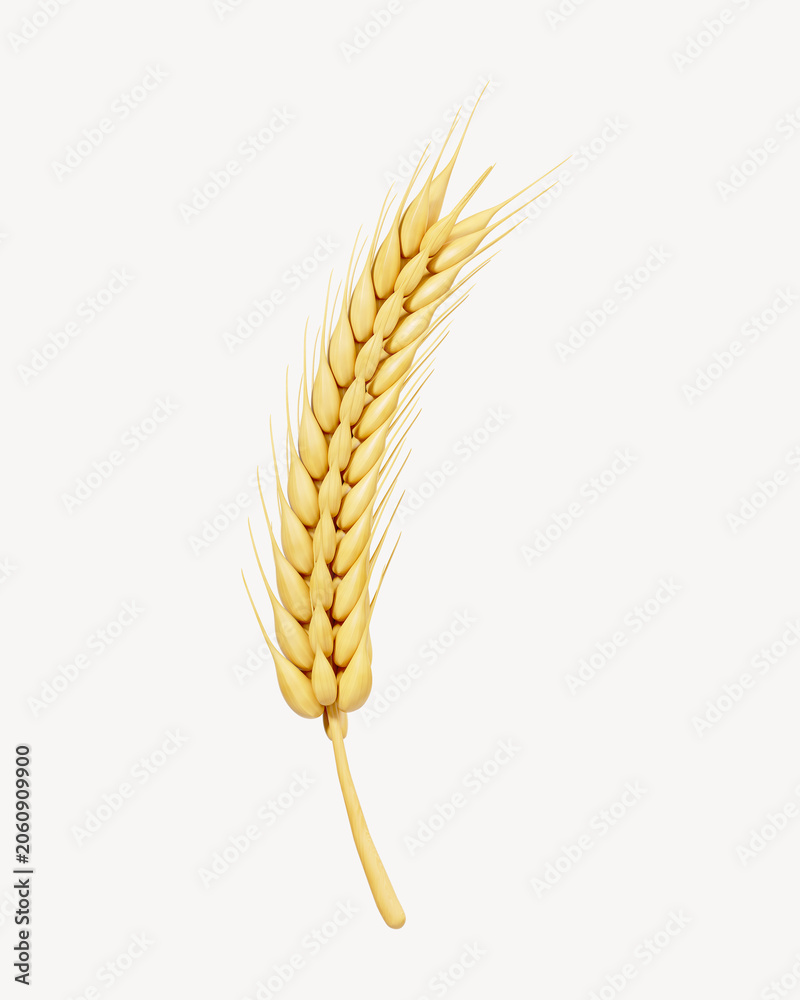 Obraz premium 3D wheat branch, element illustration