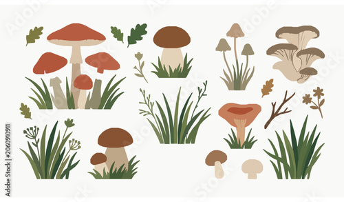 Fotografi Forest mushrooms with green grass vector illustration set