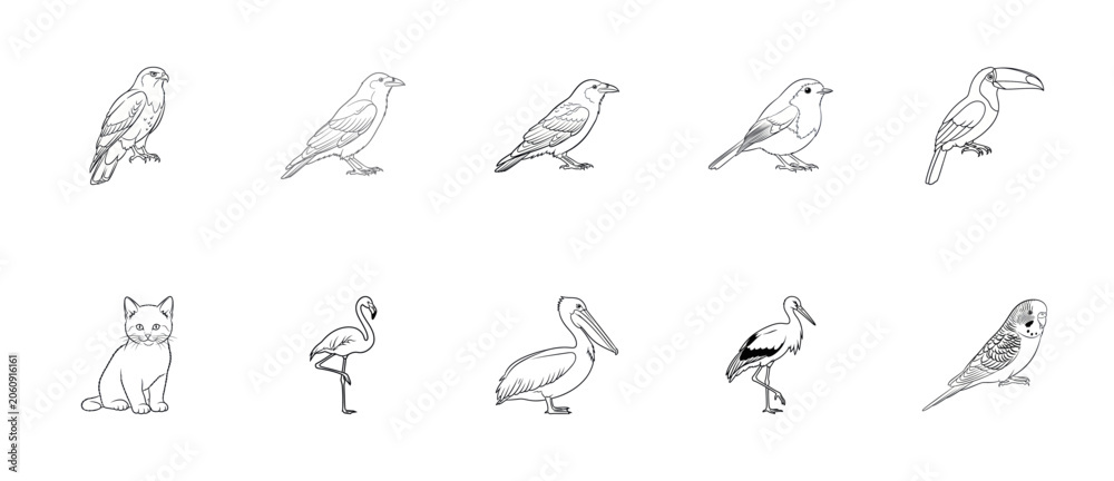 Fototapeta premium Minimalist Bird and Kitten Icon Set