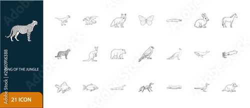 Diverse Animal Icon Set