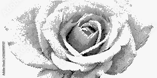 Close up illustration of a rose rendered in a halftone dot pattern on a white background