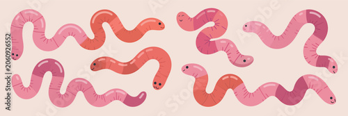 Tableau sur toile Pink Worms Crawling on Peach Background
