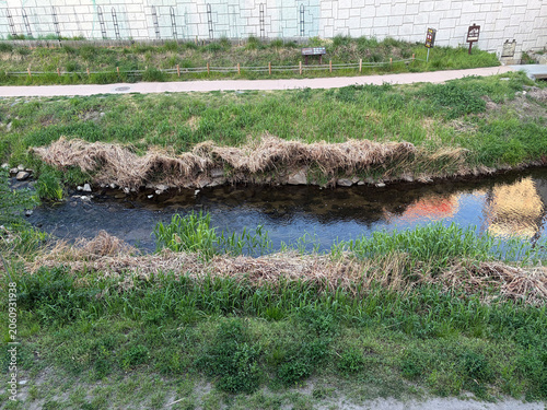 Small Stream with Grassy Banks - Realistic photo of narrow waterway flowing through green grass beside paved path and stone wall. Ideal for nature, environment, and landscape backgrounds