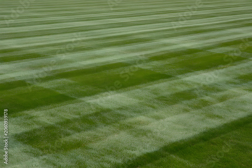Green Grass Lawn with Mowing Patterns