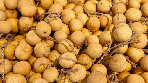 A close-up overhead view of a pile of fresh, ripe, golden-brown longan fruits, showcasing their delicate stems and textured skin, a healthy and delicious tropical fruit option