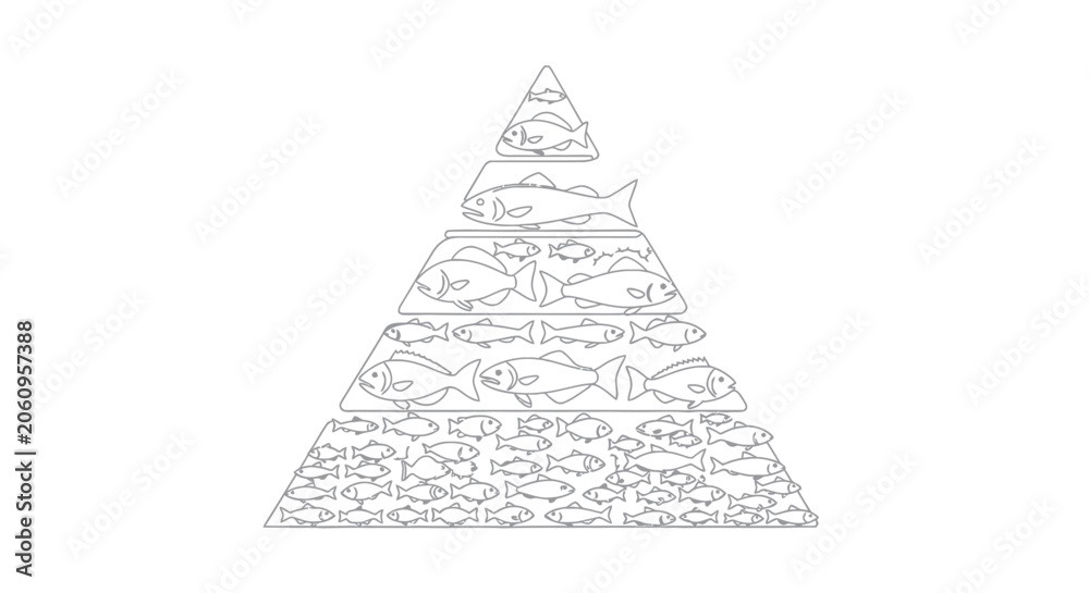 Fototapeta premium Marine Food Chain Pyramid Vector Illustration