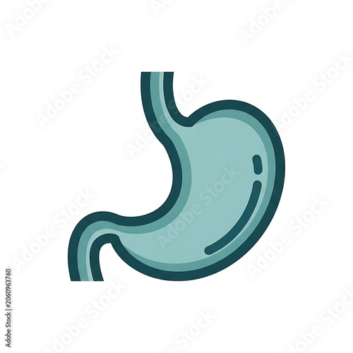 Human stomach organ anatomy icon illustration.