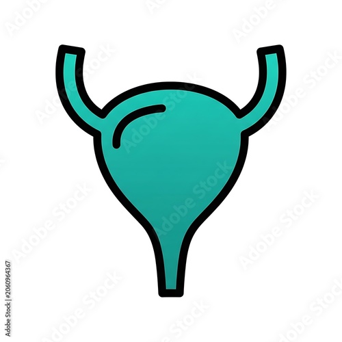 Human Urinary Bladder Anatomy Icon Vector Illustration.