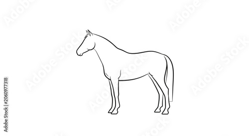 Outline drawing of a standing horse on a white background