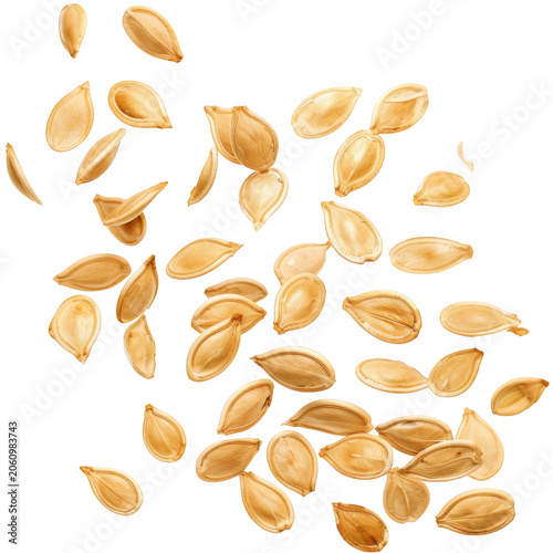 Scattered pumpkin seeds falling floating isolated on a transparent background