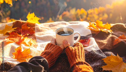 Autumn cozy mood. Fall cozy reading nook with a blanket, bookshelf filled with autumn-themed books, and a cup of tea or hot chocolate.6