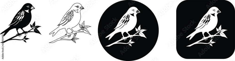 Fototapeta premium Four bird on branch featuring black silhouette, line and white shapes on circular and square backgrounds