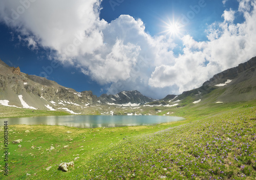 Beautiful alpine meadow with wild purple flowers near a turquoise mountain lake under a bright sunny sky. Scenic highland nature landscape