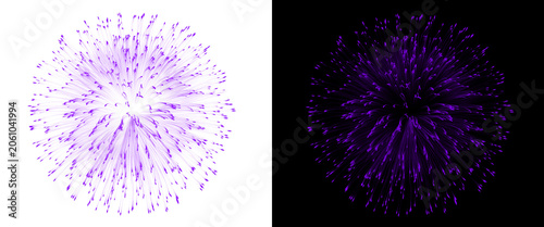 Cuadro en lienzo Purple dandelion seed head macro, abstract floral explosion on white and black b