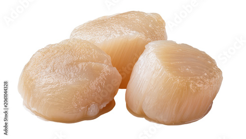 Canvas Print Three raw scallops plump and moist, with delicate texture