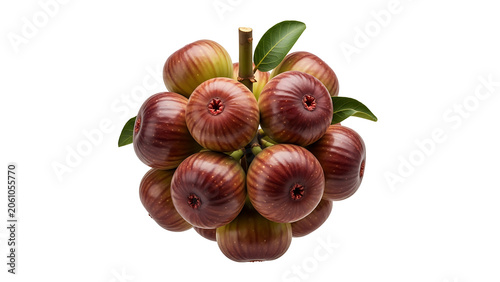 Fresh Rambutan Fruit Bunch with Leaves Isolated