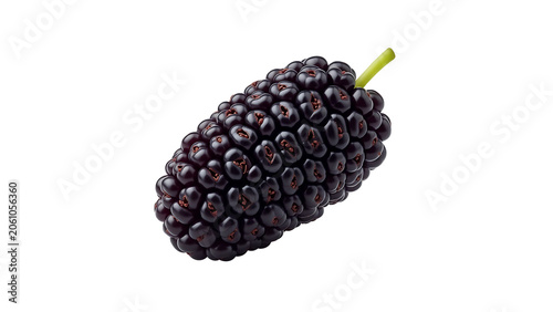 Fresh Mulberry Fruit